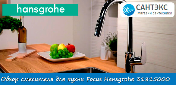 Смесители для кухни Hansgrohe Focus 31815000