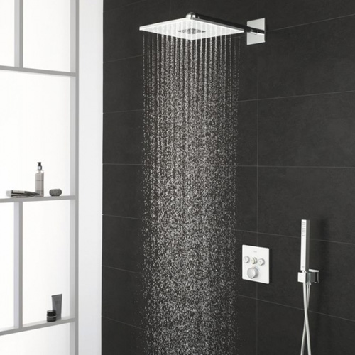 Фотография товара Grohe Rainshower 26479LS0Gr