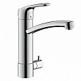 Фотография товара Hansgrohe Focus M41 73887000