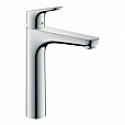 Фотография товара Hansgrohe Focus   31608000