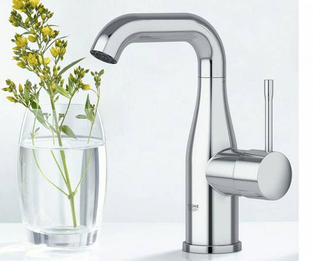 Фотография товара Grohe Essence New 23462001Gr