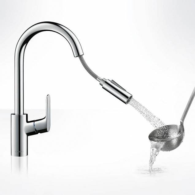 Фотография товара Hansgrohe Focus   31815000