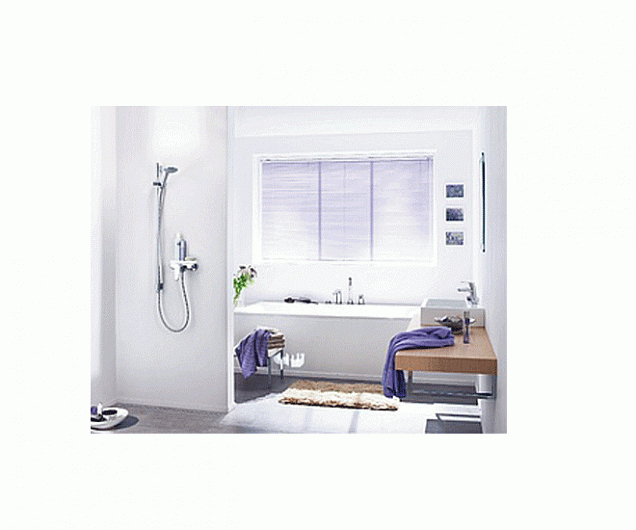 Фотография товара Grohe Euphoria 27222000Gr