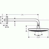 Верхний душ Raindance Select Hansgrohe 26470000