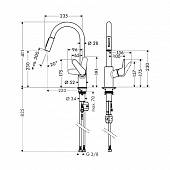 Смеситель для кухни Focus Hansgrohe 31815000