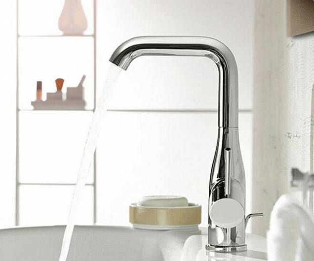 Фотография товара Grohe Essence New 23462001Gr