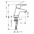 Фотография товара Hansgrohe Focus   31952000